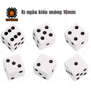 Combo 10 viên xí ngầu vuông size 16mm 19mm