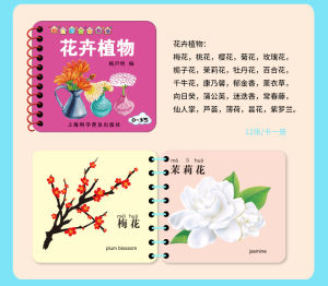 Chinese English & Pinyin Durable Untearable Waterproof Book for Baby Early Education