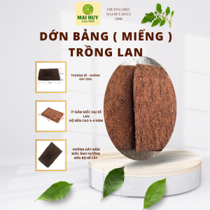 DỚN BẢNG TRỒNG LAN THÍCH HỢP VỚI NHIỀU LOẠI LAN ĐÃ QUA XỬ LÍ - Mai Huy - Msp 0580