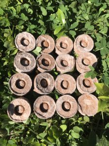 Combo 100 VIÊN NÉN XƠ DỪA- Viên Nén Ươm Hạt - combo 100 viên