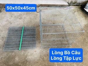 Lồng Bồ Câu ( 50x50x45cm ) Dùng nuôi gà con gà tre thỏ ( lồng tập lực cho chim )