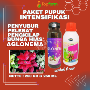 Pupuk Aglonema Untuk Daun Akar / Pupuk Aglonema Perbayak Anakan / Pupuk Aglonema Premium / Pupuk Aglonema Lengkap / Pupuk Aglonema Cair