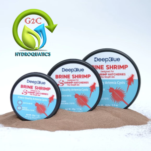 Deep Blue Brine Shrimp / Artemia Cysts Small Cans 30grams For Shrimp Hatcheries / Bohai
