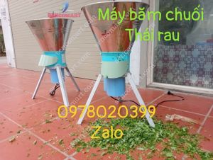 Máy cắt rau bèo chuối lát rau lang tại bình dương
