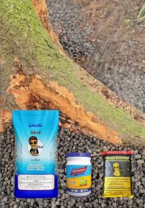 ปุ๋ยพี่คิงส์ ฟื้นฟูระบบราก ฟื้นฟูต้นป่วย