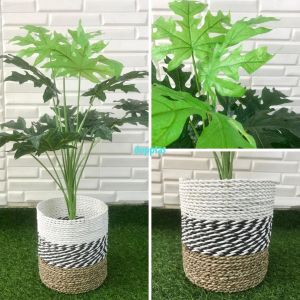 Pohon Artificial Papaya Leaf X12 Semilatex Cover Pot Anyaman Seagrass Variasi Dekorasi Ruang Studio