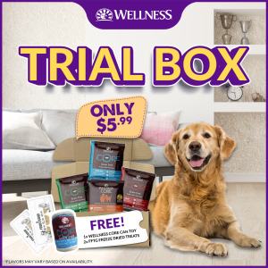 [Trial Box - Promo $5.99!] Wellness CORE Dog Kibble + Freebies (4 Sample Packs + Toy + 2 Treats)