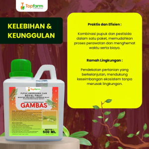 Pupuk Pestisida Topfarm / Pupuk Pelebat Buah Oyong / Pupuk Buat Oyong Emes / Obat Hama Lalat Buah Oyong / Pupuk Pembesar Buah Oyong / Obat Pembasmi Hama Buah Oyong / Obat Hama Tanaman Oyong