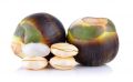 Fresh Sea Coconut | Kelapa Laut Segar (Box of 2). 