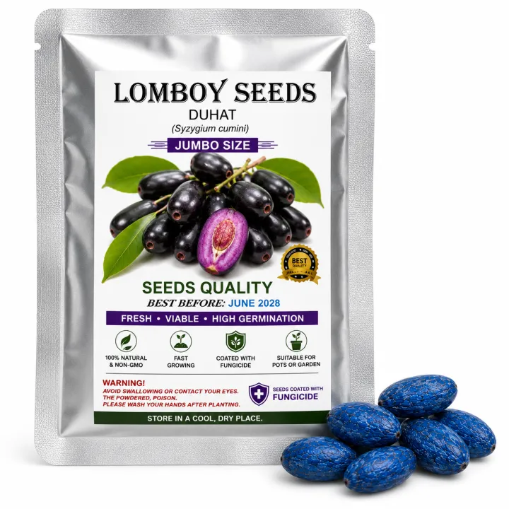 Lomboy%20(DUHAT)%20Jumbo%20Variety%20Seeds%20%E2%80%93%20Coated%20with%20Fungicide%20%7C%20Seeds%20Pang%20Tanim%20-%20Image%206