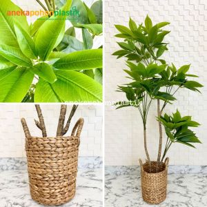 Pohon Artificial Pohon Imitasi Daun Manggis Variasi Tinggi 150 & 170 Cover Eceng Gondok Handle Hiasan Rumah