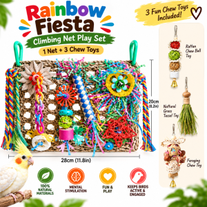 Bird Toy | Parrot Toy Sets – Climbing Chew Toys Foraging Cuttle Fish bone | Lovebird Conure Cockatiel