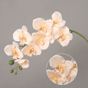 ANAMA Wedding Decoration Silk Flower Home Supply Artificial Flower 3D Phalaenopsis Simulation Butterfly Orchid Real Touch Plants