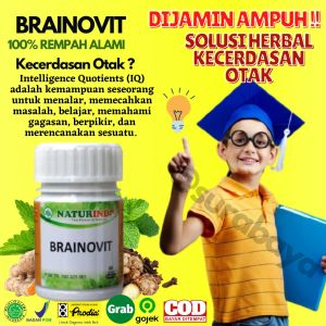Vitamin Otak Nutrisi Otak Anak Kecerdasan Otak Anak Obat Anti Pikun Obat Otak Dewasa Obat Herbal Penambah Daya Ingat Nutrisi Otak Menambah Kecerdasan Anak Ampuh Obat Herbal Meningkatkan Daya Ingat Otak Herbal Brainovit Naturindo Surabaya