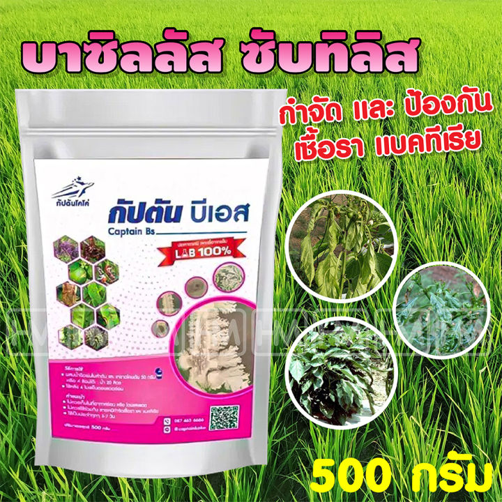 กัปตัน BS บาซิลลัส ซับทิลิส กำจัดเชื้อรา แบคทีเรีย