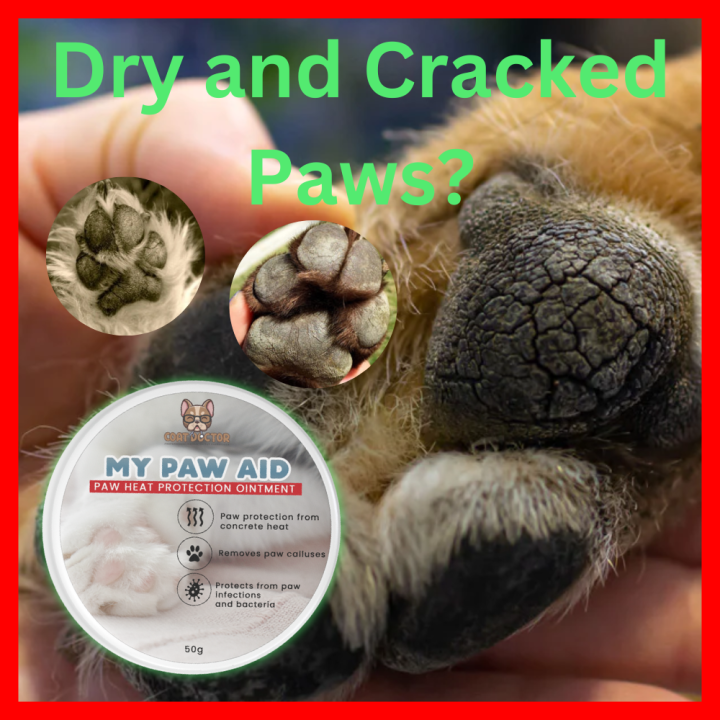Cracked Healthy Dog Pads COAT DOCTOR My Paw Aid For Pets Cat Paw