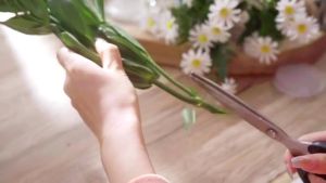 2pcs 7cm Transparent Ikebana Stem Holder Waterproof Durable Flower Fixing Bracket with Suction Cups