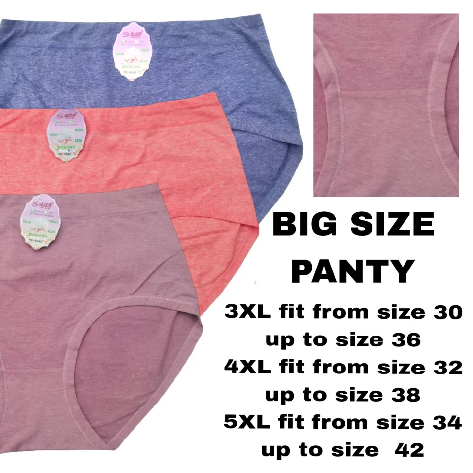 3 PCS PANTY FOR WOMEN PLUS SIZE 3X, 4XL, 5XL