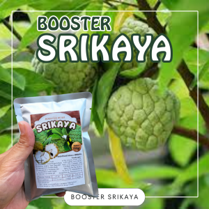 Booster Tanaman Srikaya / Pupuk Booster Hayati Khusus Tanaman Srikaya