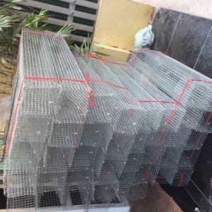 Lồng Bẫy Rắn (1 hom) Thép Chất Lượng Chống Gỉ [ Size: 60x12x12cm và 70x15x15cm ] Mắt 1cm