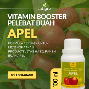 Pupuk Apel Cepat Berbuah Lebat / Pupuk Booster Buah Apel / Pupuk Pelebat Buah Apel Fuji Putsa Malang