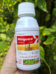 [TRUNG THIEN THINH] 1 CHAI RICEGUARD 40 OD 250ML – THUỐC TRỪ CỎ HẬU NẢY MẦM TRÊN RUỘNG LÚA ĐẶC TRỊ CỎ LỒNG VỰC CỎ CHỈ CỎ ĐUÔI PHỤNG