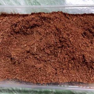 ขุยมะพร้าวแห้ง ถุงใหญ่ บรรจุ 10 ลิตร วัสดุปลูกจากธรรมชาติ ปราศจากเชื้อรา แห้ง ใหม่ สำหรับชำกิ่ง - ชำราก ต้นไม้ เพาะปลูกพืช ช่วยให้ดินกักเก็บความชุ่มชื้น สินค้าพร้อมส่ง