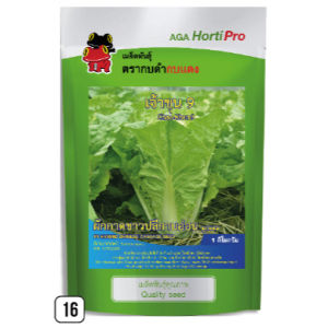 ผักกาดขาวปลีกาบอ่อน เจ้าขุน9 (กระป๋องและถุงใหญ่)