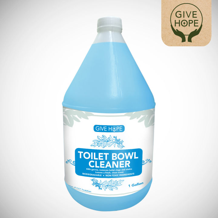 Toilet Bowl Cleaner | Lazada PH