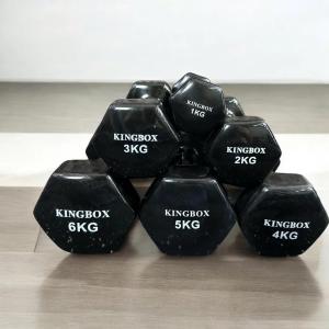 Tạ Tập Gym Tại Nhà Chất Liệu Gang Bọc Cao SuTạ Tay Nữ Chuyên Tập Gym Yoga Cân Nặng Từ 1-6kg PTMK