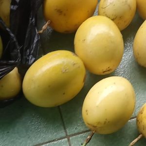 jual buah markisa atau saprola untuk orang ngidam harga 1 kg