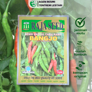 Benih Cabe Rawit BANGJO 10 gram Cap RAJA SEED Lebat & Bandel