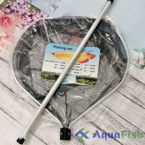 Vợt Cá Koi Cá Rồng Size Vợt Từ 16 inch đến 32 inch