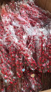 [ Hot ] Cành đào đông đỏ may mắn tài lộc 5 nhánh