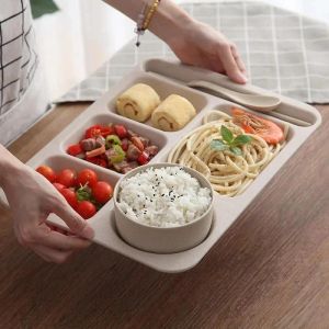 5-Section Divided Plate Wheat Straw Plate with Divider Multi-grid Meal Plate Food Dinner Breakfast