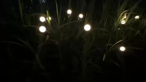 SXH New led Solar Firefly Lamp Zhongshan Lamp Atmosphere Solar Garden Lamp Decorative Lamp