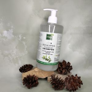 Shampoo Anti ketombe Anti rontok dan anti gatal Eucalyptus Family