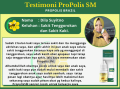 Obat Sakit Tenggorokan Kering, Obat Tenggorokan Kering, Obat Radang Tenggorokan Kering, Obat Tenggorokan Kering, Obat Tnggorokan Kering Dan Gatal, Dengan PROPOLIS SM 100% Herbal Alami Tanpa Efek Samping. 