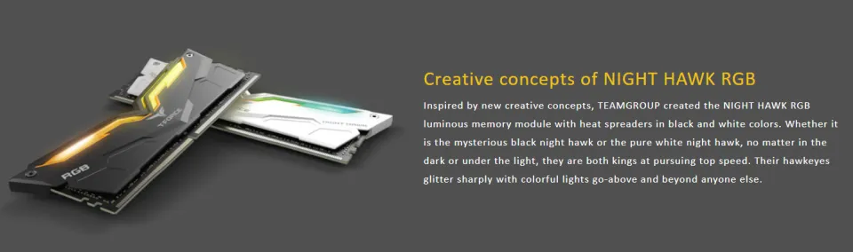 Team Group T Force Nighthawk Ram Team T-Force Night Hawk RGB GEN