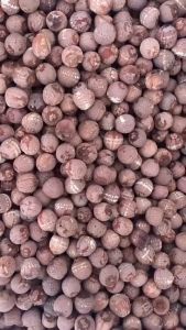 Chinese Herbs Herbal Medicine 红莲子 Dry Goods Dried Red Lotus Seeds Nourishing Body 中药材 干货 滋养补虚 YC27