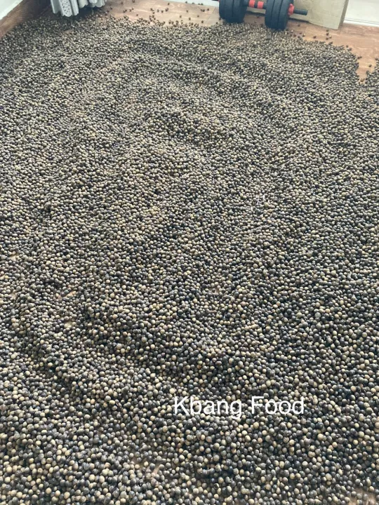 H%E1%BA%A1t%20d%E1%BA%BB%20th%C3%B3c/%20h%E1%BA%A1t%20d%E1%BA%BB%20r%E1%BB%ABng%20nh%E1%BB%8F%20lo%E1%BA%A1i%201/%20chu%E1%BA%A9n%20v%E1%BB%8B%20n%C3%BAi%20r%E1%BB%ABng/mini%20d%E1%BA%BB/1kg%20-%20Image%205