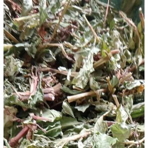 Cây Nghể Răm Khắc Tinh Của Sán ChóGói 500gr-1kg khô. . Mộc 88 0971183688