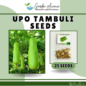 F1 UPO TAMBULI (25pcs seeds) SUPER LONG/BOTTLE GOURD/HIGH GERMINATION RATE/EASY TO PLANT/HIGH YIELDING/MORE PROFIT
