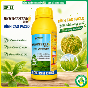 BRIGHSTAR 25SC-Paclobutrazol chai 1 lít