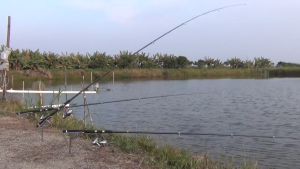 Automatic Spring Fishing Rod Holder Stainless Steel Fishing Rack Tool Fishing Rod Ground Holder Base Poles Stands