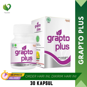 Obat Ambeyen Grapto Plus Kapsul Herbal Atasi Wasir Luar Dalam Ampih