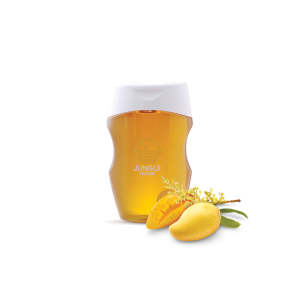 Jungle House Pure Honey [Squeezy Series] Sweettooth Mango Flower Nectar