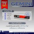 GEMINI ลวดเชื่อมไฟฟ้า D1 2.0x 300 มม 1 กิโล เจมินี่ ดี1. 