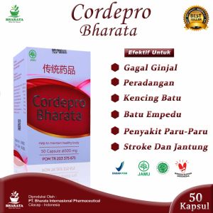 Cordepro Bharata Obat Gagal Ginjal | Obat Ginjal Batu Ginjal Obat Cuci Darah Paling Ampuh