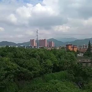 【Militer Asli Jerman】Binokular Pembesaran Tinggi Visi Malam Ultra-Jernih untuk Dewasa Profesional Pengamatan Lebah di Luar Ruangan